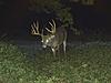 Trophy whitetail hunts with Swain Farms-ttt-1-.jpg