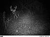 Trophy whitetail hunts with Swain Farms-at2-14-640x480-.jpg