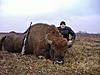 Hunting in Belarus!!!-phoca_thumb_l_dscf0366_1200.jpg
