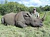 Big 5 Hunt-rhino-kunkuru-17-02-2010-021.jpg