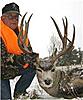 Colorado rifle mule deer hunt 5-9 november-bigsandybuck2010c.jpg