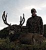 Colorado rifle mule deer hunt 5-9 november-bigsandydeer1.jpg