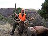 Colorado rifle elk hunt - 2012-sheltonranch4.jpg