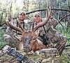 Colorado treestand archery elk hunts-qrsbull2.jpg