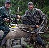 Colorado treestand archery elk hunts-qrsbull3.jpg