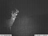 2012 Kansas Deer and Turkey Hunts-11-hh-cedar-stand-oct-303.jpg