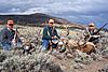 Colorado Mule Deer/Antelope Combo Hunt-bigrackcombo.jpg