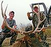 Colorado Mule Deer Hunts-mountainviewelk.jpg