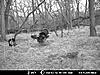 2012 Kansas Deer and Turkey Hunts-mdgc0144.jpg