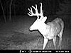 2012 Kansas Deer and Turkey Hunts-mdgc0012.jpg