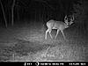 2012 Kansas Deer and Turkey Hunts-mdgc0016.jpg