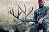 Colorado Elk/Mule Deer Combo Hunt-bigrackbuck3.jpg