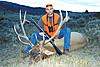 Colorado Elk/Mule Deer Combo Hunt-bigrackelk2.jpg