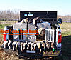 Teal Season Now Booking..North Texas Duck Hunts-101_0856-009.jpg