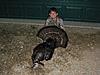 2013 Kansas Rio Grande Turkey hunts-102_0097.jpg