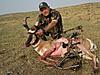 Colorado Antelope/Mule Deer Combo Rifle Hunts-bigrackantelope.jpg