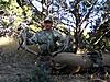 Colorado Archery Elk Hunt-archeryelk.jpg