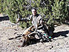 Colorado Archery Elk Hunt-archeryelk4.jpg