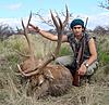 Red Stag Rut in Argentina.-stag1.jpg