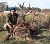 Red Stag Rut in Argentina.-stag3.jpg