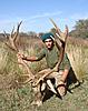 Red Stag Rut in Argentina.-stag4.jpg