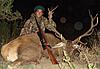 Red Stag Rut in Argentina.-rut2013.jpg