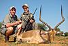 Africa Hunting trip for sale-impala_00005.jpg
