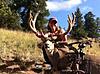 Colorado Archery Mule Deer Hunts-coloradomuledeer8.jpg