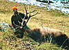 High/Back Country Bow or Muzzleloader Elk Hunt-130203998948932050.jpg