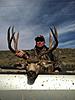 Chalk Creek Mule Deer hunt - Private Land-utah-deer-2.jpg