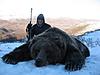 Hunt Alaska Outfitters 2015 openings available-image.jpg