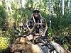 Archery Elk Hunts - Colorado-denniselk.jpg