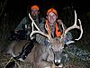 IOTV strikes with Kansas Racks &amp; Quacks-iotv-202-20re.jpg