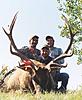 Colorado Archery Elk Hunts - 2015-coloradoelk6.jpg