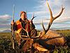 Colorado Trophy Elk Hunts-coloradorifleelk3.jpg