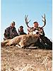 Rifle Mule Deer Hunt - Colorado-coloradomuledeer6.jpg