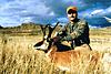 Colorado Rifle Antelope Hunts-coloradoantelope2.jpg