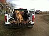 ***Pheasant Hunting and Walleye Fishing in South Dakota***-photo-1.jpg