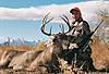 Colorado Whitetail Deer Hunts-coloradowhitetail2.jpg