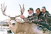 Colorado Archery Mule Deer Hunts-coloradomuledeer3.jpg