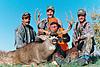 Colorado Archery Mule Deer Hunts-coloradomuledeer4.jpg