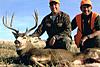 Colorado Trophy Mule Deer Hunt w/Voucher - Rut Hunt-muledeerbuck4.jpg