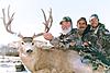 Archery Mule Deer Hunt w/Voucher - Colorado-muledeerbuck5.jpg