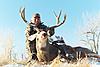 Archery Mule Deer Hunt w/Voucher - Colorado-muledeerbuck7.jpg