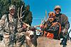 Colorado Mule Deer Rifle and Muzzleloader Hunts-coloradomuledeer2.jpg