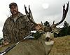 Colorado Mule Deer Rifle and Muzzleloader Hunts-coloradomuledeer9.jpg