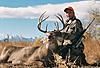 Colorado Eastern Plains Whitetail Rifle Hunt-coloradowhitetail2.jpg