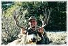 Colorado Rifle Mule Deer Hunts-coloradomuledeer3.jpg