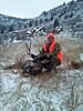 Colorado Rifle Mule Deer Hunts-coloradomuledeer11.jpg