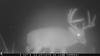 Kansas Archery/Rifle Deer Hunting-screenshot_20160929-130713.jpg